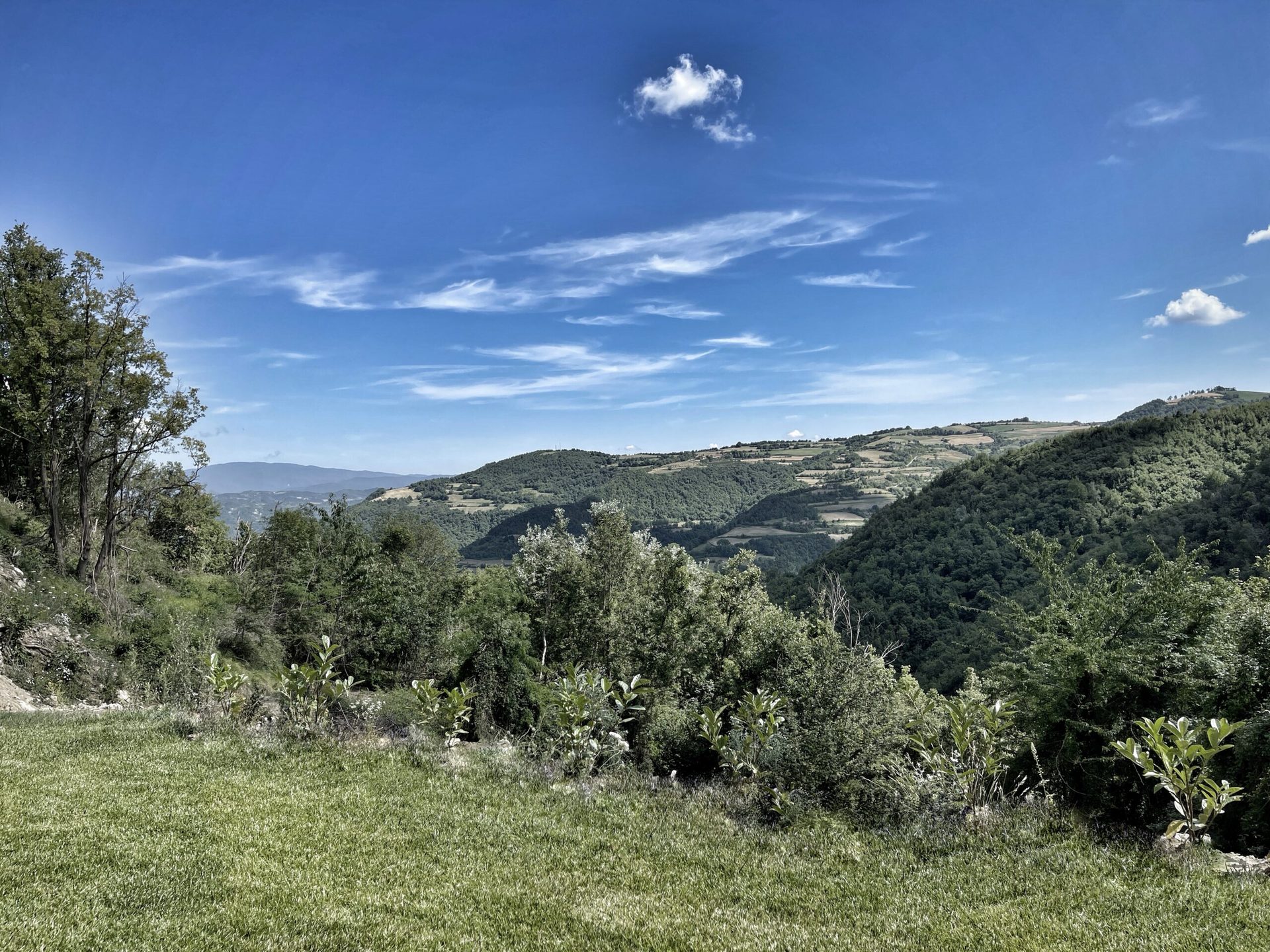 Casa nel Bosco thumbnail 2